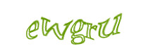 Authentication image
