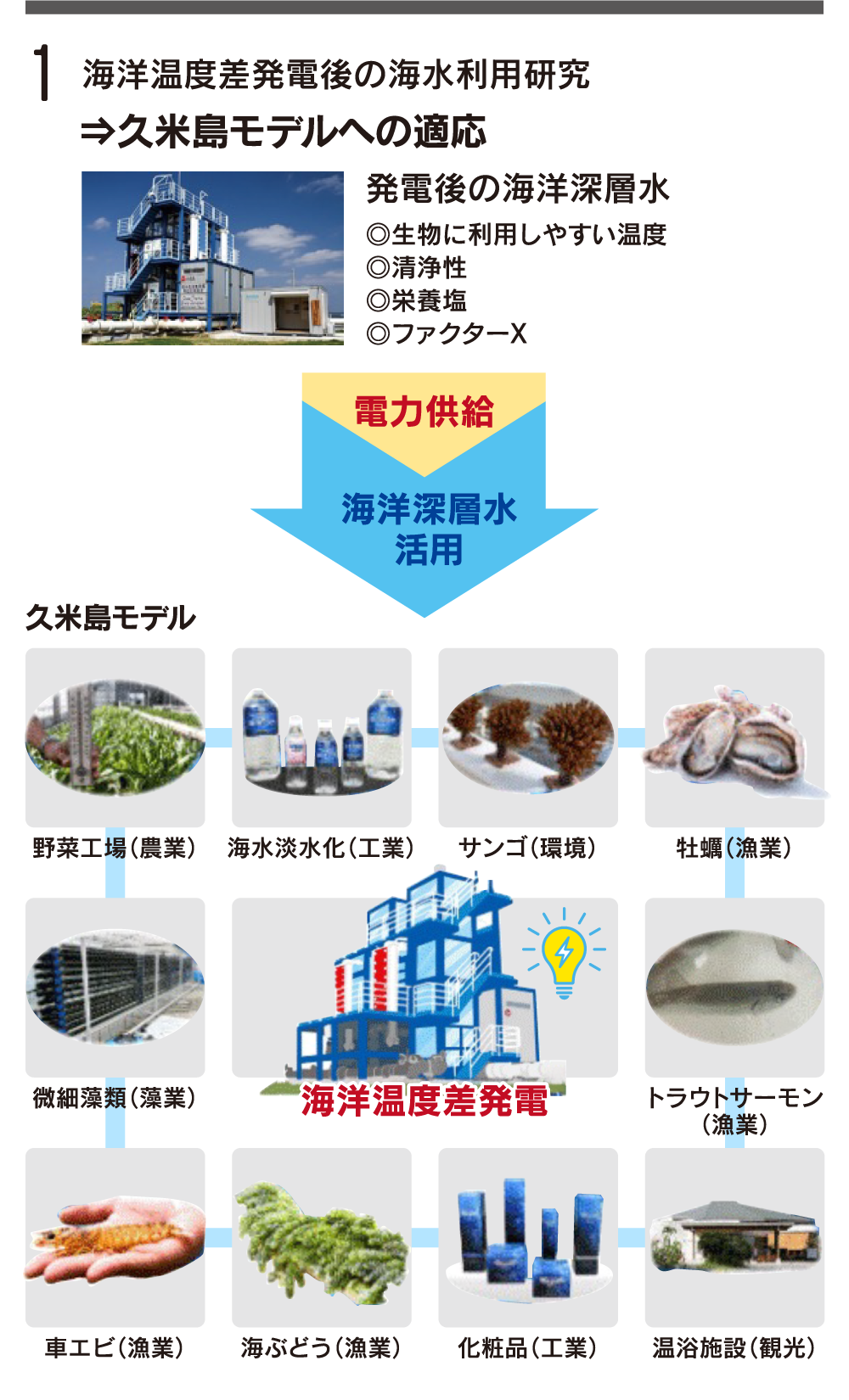 海洋温度差発電後の海水利用研究