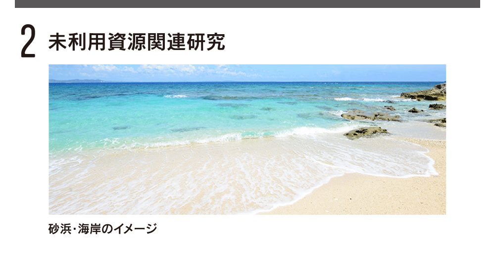 未利用資源関連研究