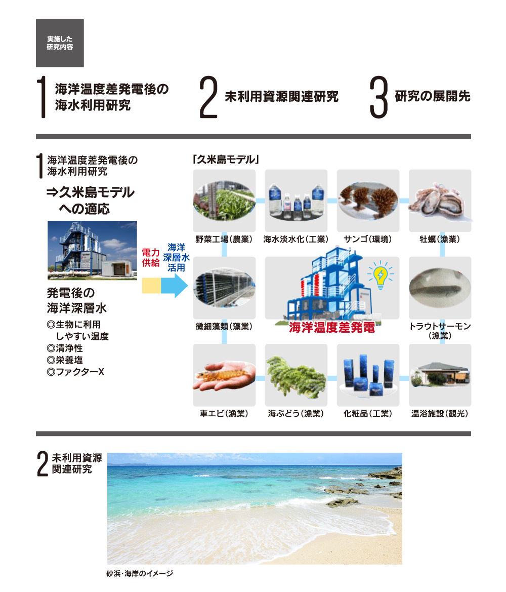 実施した研究内容