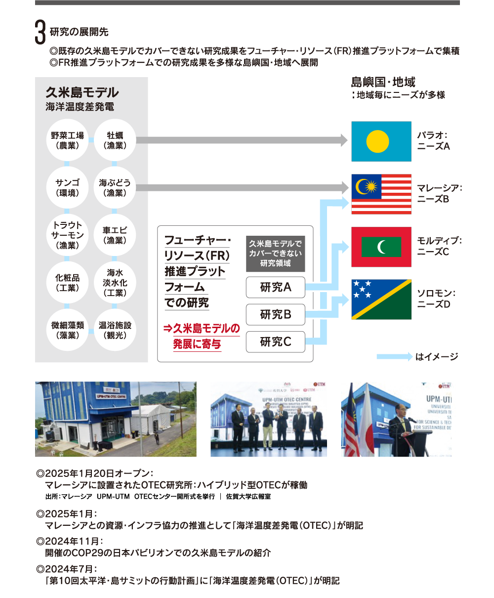 実施した研究内容