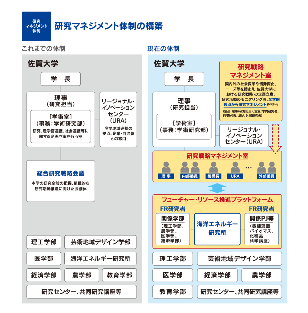 研究マネジメント体制