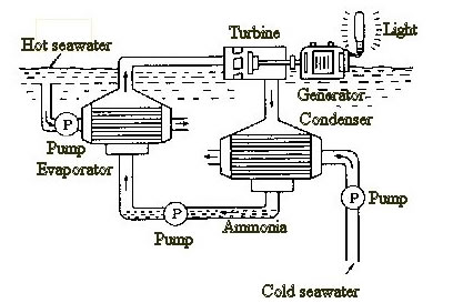 about_otec_img03.jpg