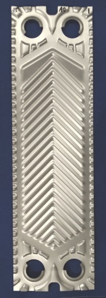 fig2-tp1.jpg